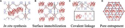 Metal-Organic Frameworks: A Potential Platform for Enzyme Immobilization and Related Applications